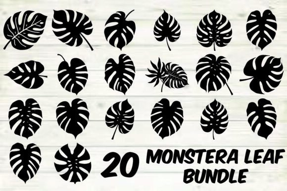 Download Monstera Leaf Bundle - Monstera Collection