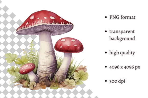 Download Watercolor Woodland Wild Mushroom PNG - Mushroom Collection