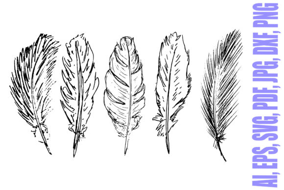 Download Five Hand Drawn Feathers Illustrations - Hand Collection