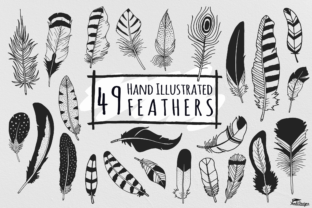 Download Hand Illustrated Feathers - Hand Collection
