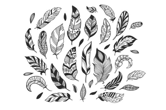 Download Hand-Drawn Feathers - Hand Collection