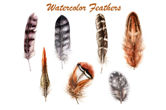 Download Hand Drawn Feathers - Hand Collection